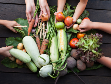 Sustainable Farming