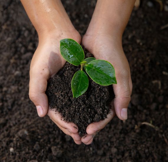 Soil Management