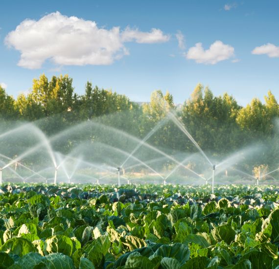 Irrigation Systems